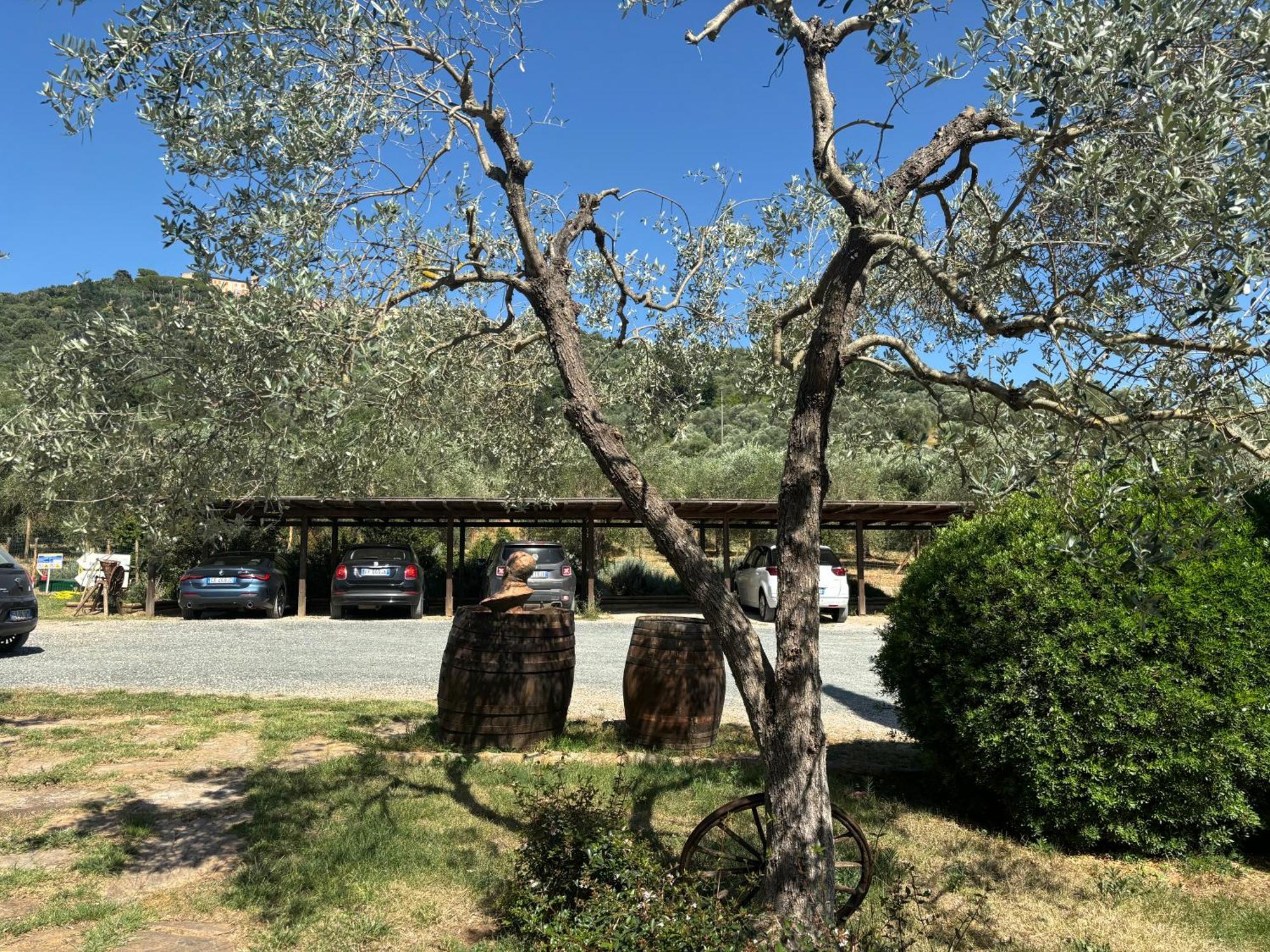 Nonna Nara Bed & Breakfast Grosseto Dış mekan fotoğraf