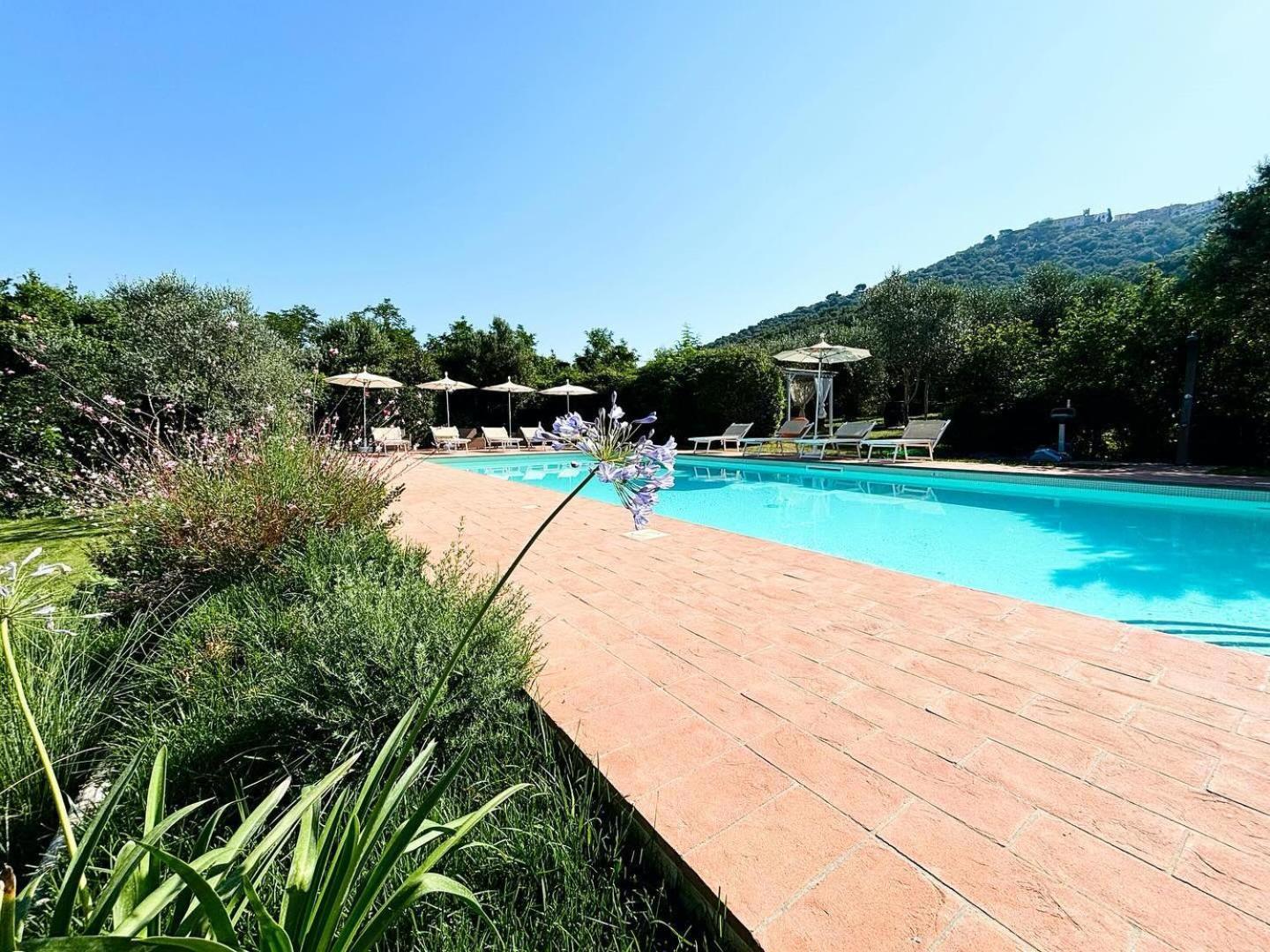 Nonna Nara Bed & Breakfast Grosseto Dış mekan fotoğraf
