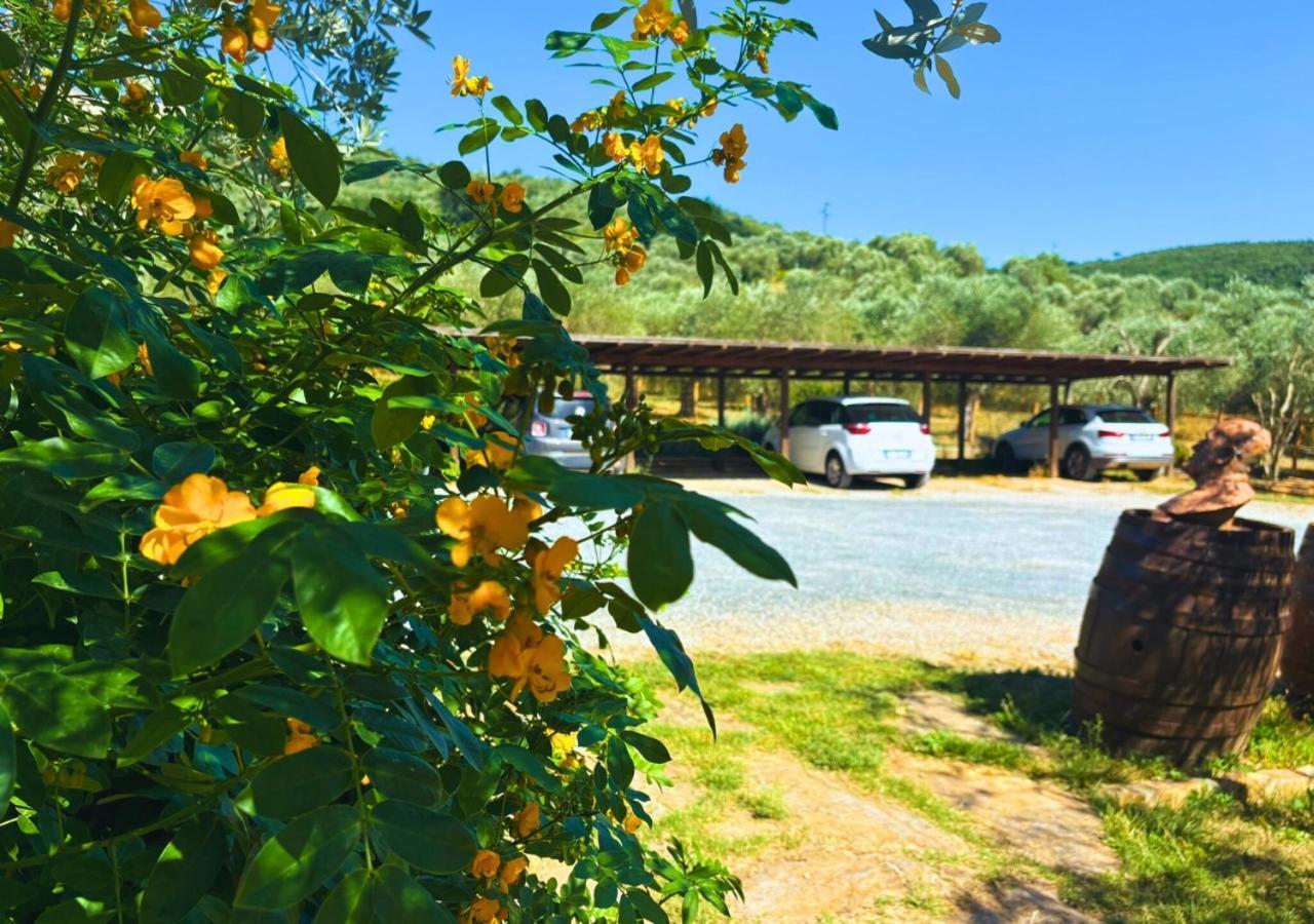 Nonna Nara Bed & Breakfast Grosseto Dış mekan fotoğraf