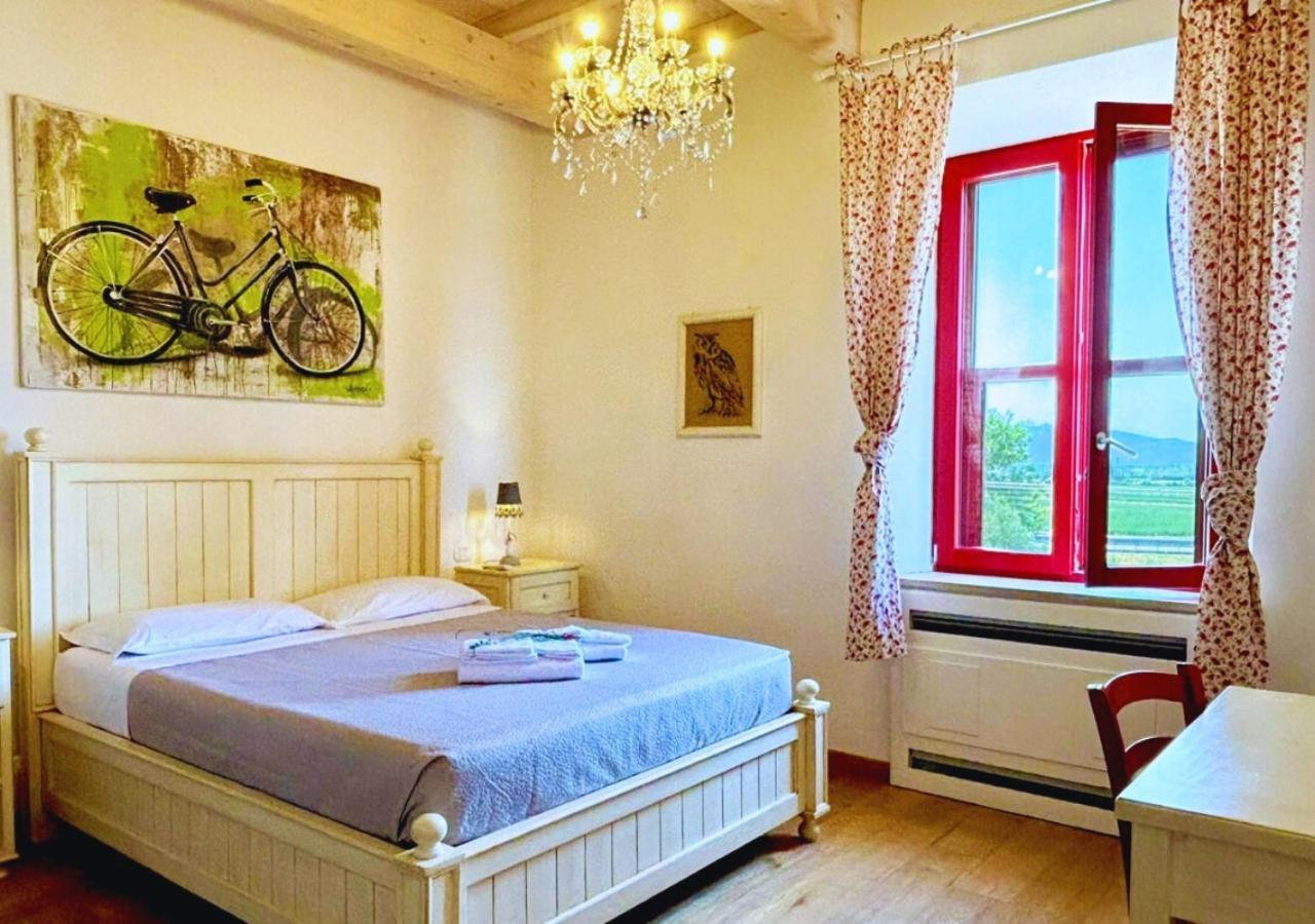 Nonna Nara Bed & Breakfast Grosseto Dış mekan fotoğraf
