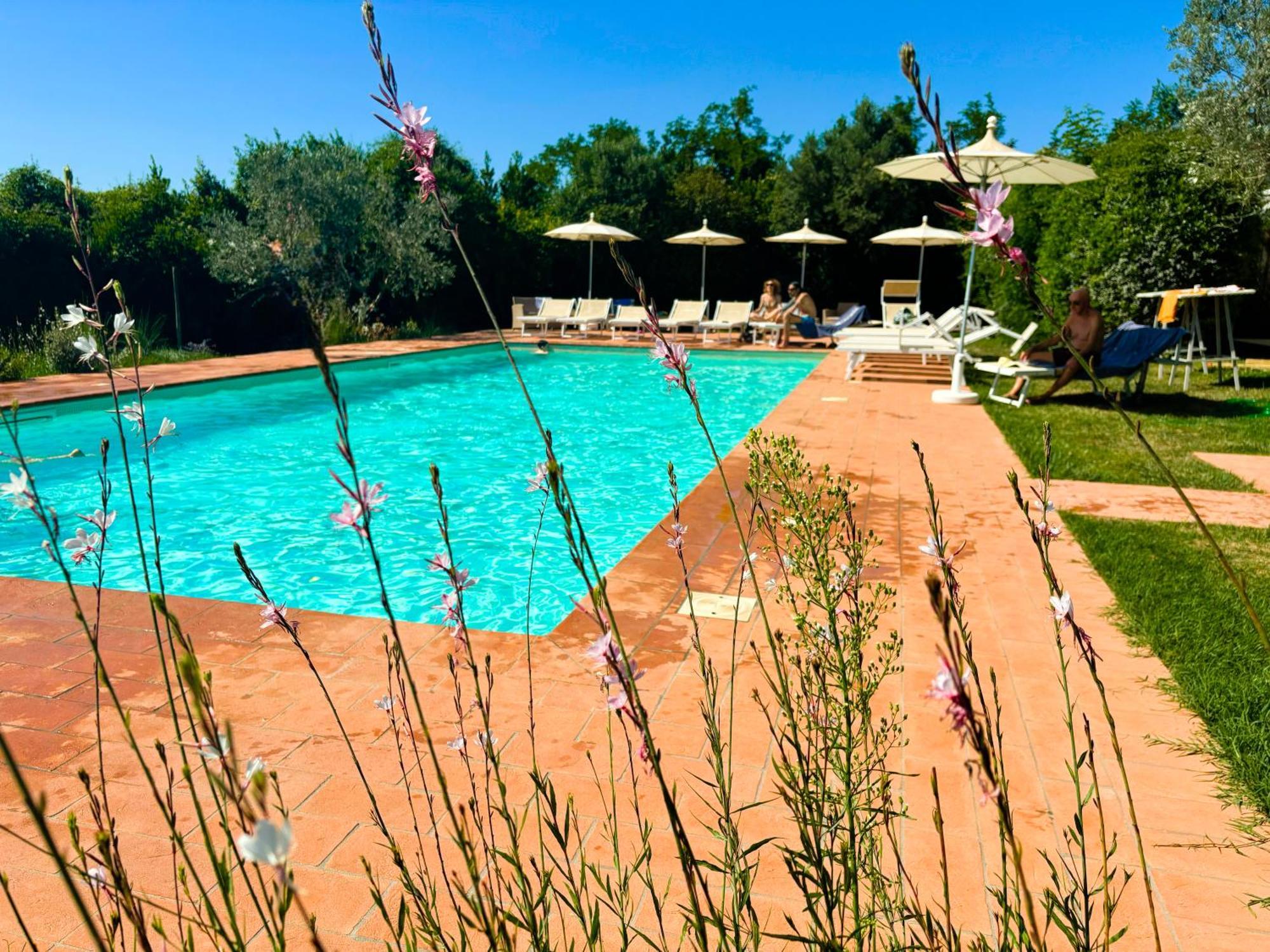 Nonna Nara Bed & Breakfast Grosseto Dış mekan fotoğraf