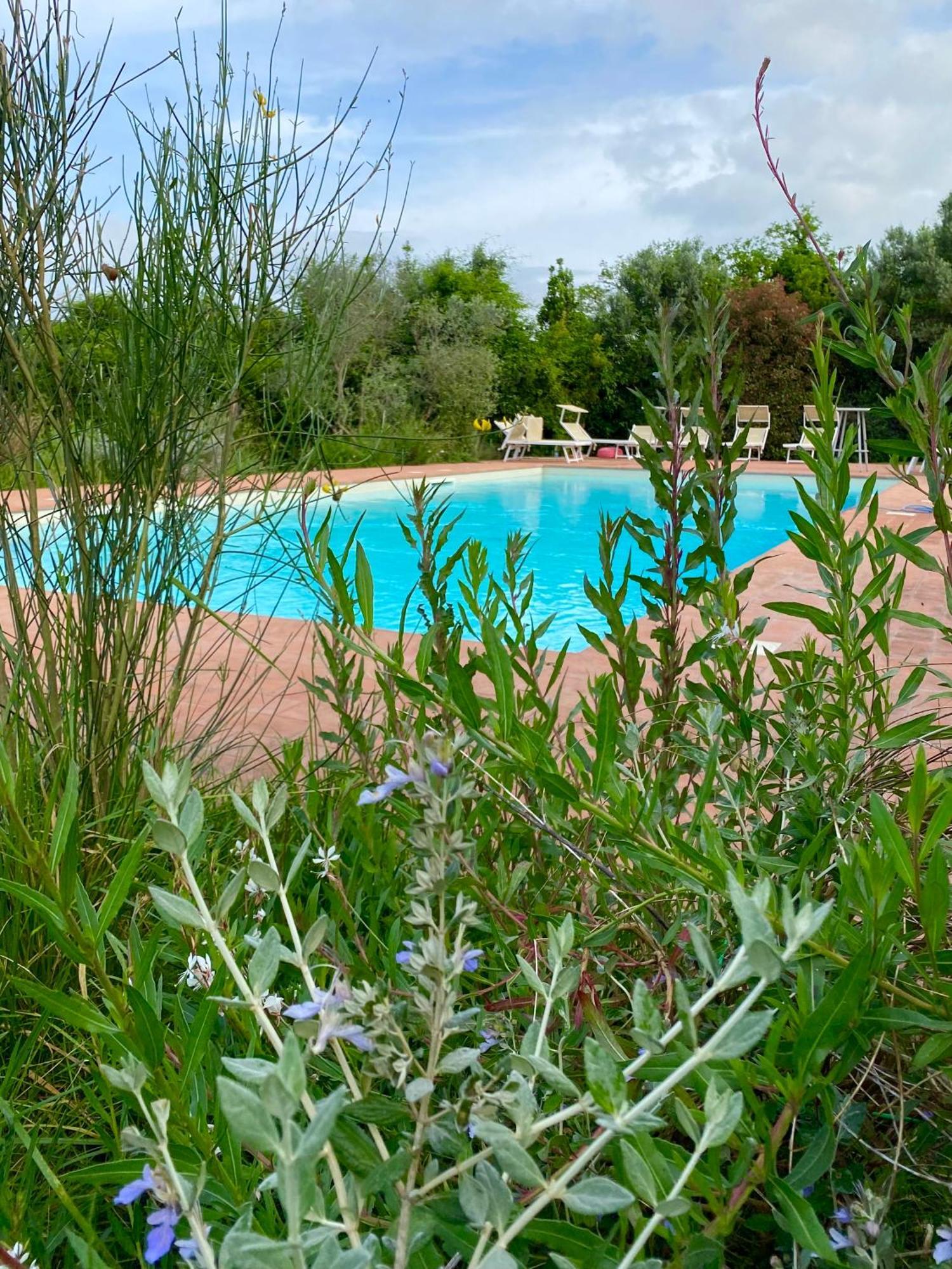 Nonna Nara Bed & Breakfast Grosseto Dış mekan fotoğraf