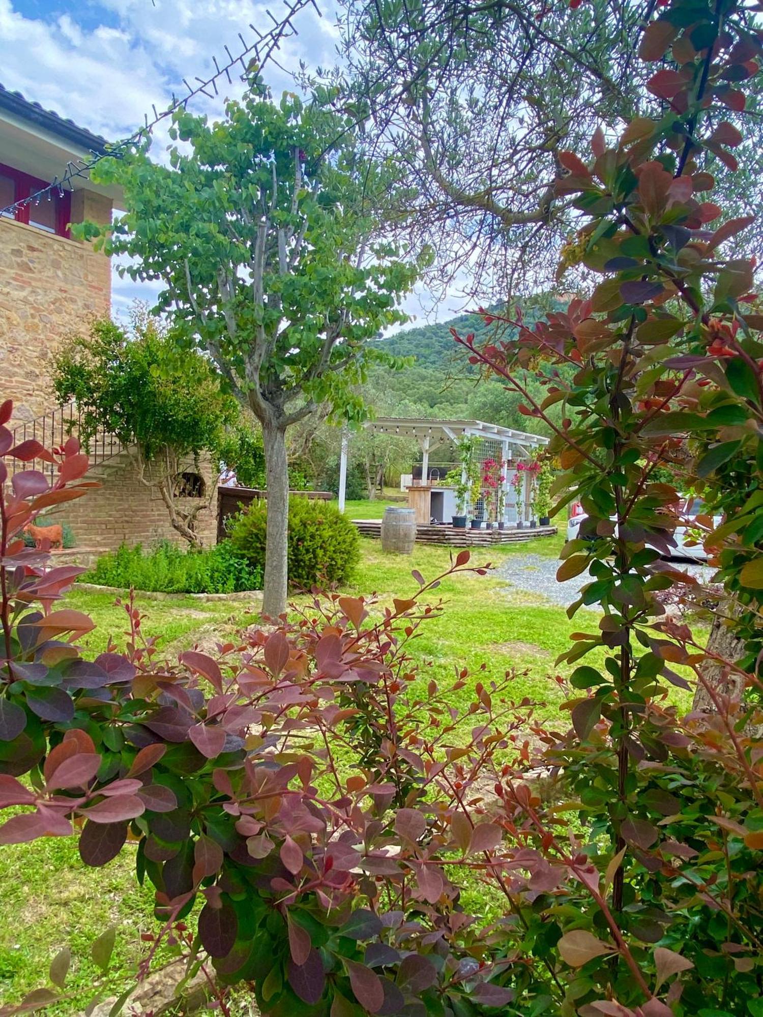 Nonna Nara Bed & Breakfast Grosseto Dış mekan fotoğraf